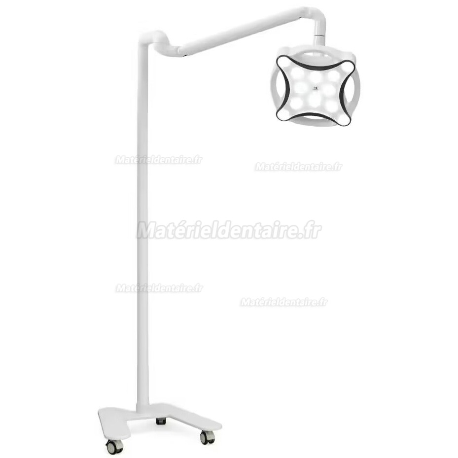 Micare JD1700L Lampe chirurgicale dentaire lampe LED scialytique (modèle à pied)